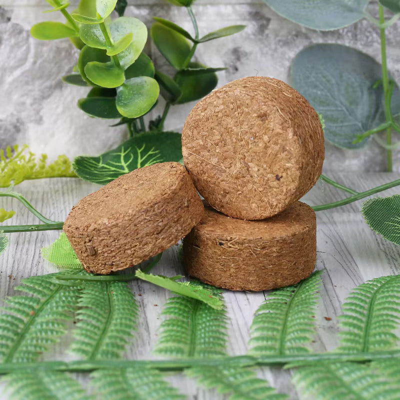 Natural Coconut Fiber Coins